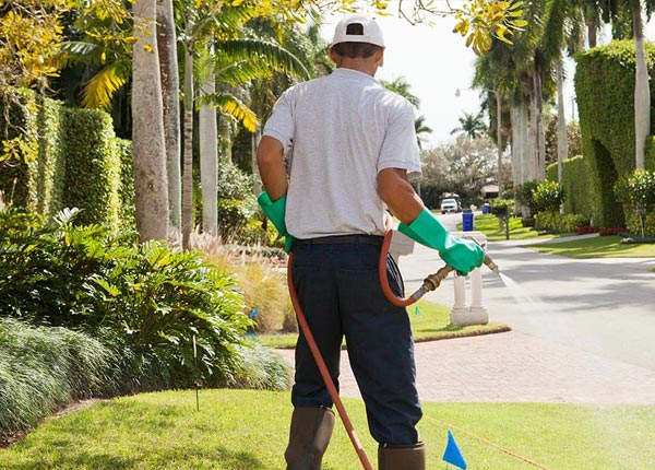 About Maysville MO Pest Control